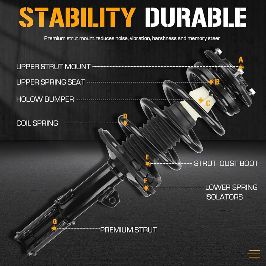 Amazon.com: Front Left and Right Complete Strut Spring Shock